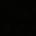 Noir Noir
