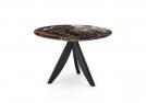 Table basse en marbre Black&Gold et pieds en bois wengé - BertO Outlet